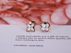 ¡®Lumi¡¯STAR AND SUN PINK GOLD MOP STUD EARRINGS