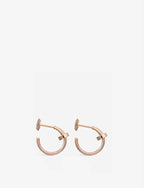 ¡®Lumi¡¯JUSTE EARRINGS PINK GOLD